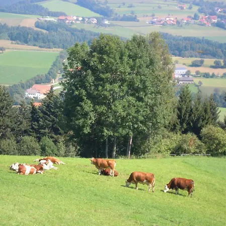 Фермерский дом Seppl Am Berg *